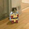 supergatoman_sito