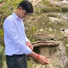 nataza___