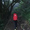zharfan.ptk