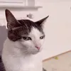 dunggdayybt