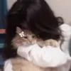 zangvioxiang