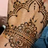 fatimabass1