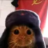 fire_cyclik