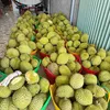 phuhoangdurian6368