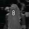 basket..3