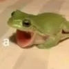 3aradka