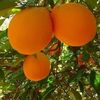 abdkader842abd