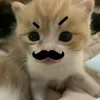ng_nhu_yy