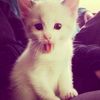 nusssssssz