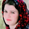 user031278474