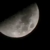 emadduski38