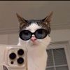abdul__242