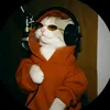 _faza_355