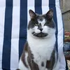ozziefloof