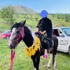 awazhamad2