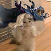 playdoetv