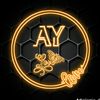 ayeshayousuf29