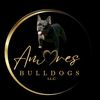 Amores Bulldogs
