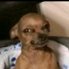 tiktok.comloco123.3