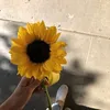 gabyfiorellaccama