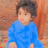 jutt.bhara804