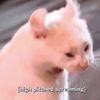 linguines_soup