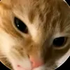 userq0ztu6k5nx