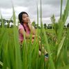 eithwalmyint11422