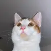 kevinisaburrido