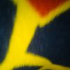yairadame1