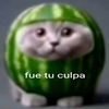 fue_tu_culpa05