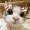 pinkyy__4