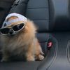 carswithu