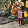 ramaalviano3