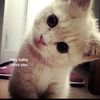 bea_zz3