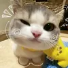 doan_tra_my