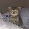 ision.wwx