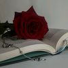 novels_aholic2