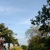 holananadisini