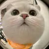 cam_aluuu