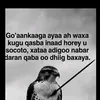 sacdiyo_5