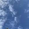 lengocmai13062006