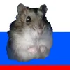 не кто😱