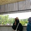 ciyulestari