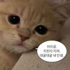 meongg734