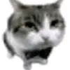 k4lluf