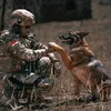 mhamd1988