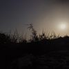 moussawehbi1