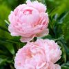 maab.mohamed9