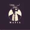 pmpamir04